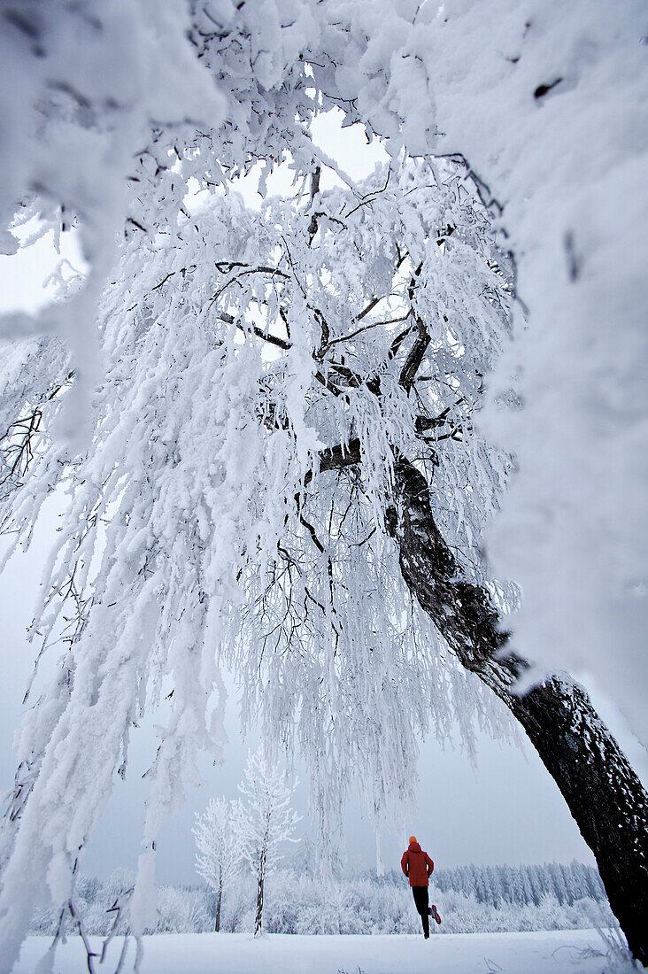 Mann joggt durch Winterlandschaft, Irsee, Bayern, Deutschland