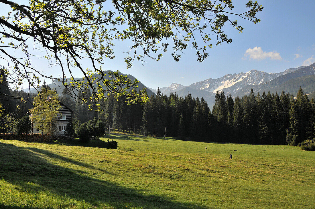 Landschaft bei Zuberec im Sonnenlicht, westliche Hohe Tatra, Slowakei, Europa