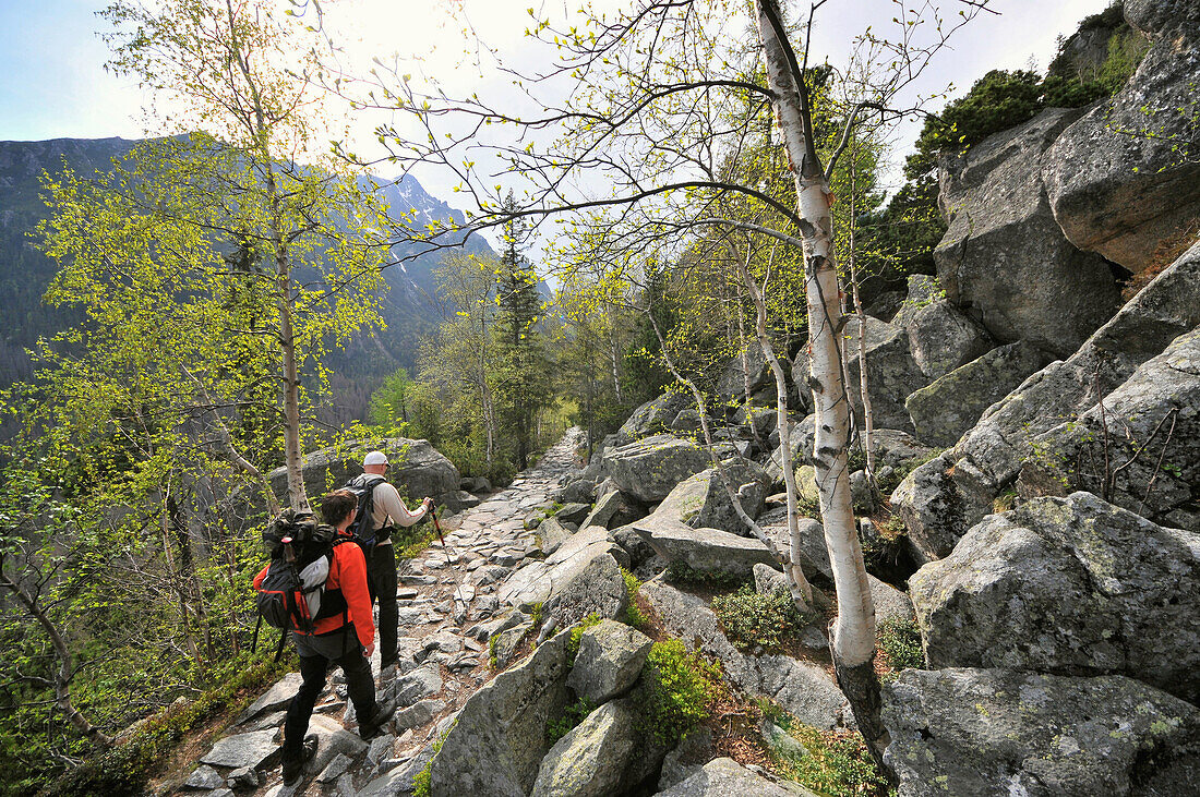 Wanderer auf einem Weg auf dem Berg Hrebienok, Hohe Tatra, Slowakei, Europa