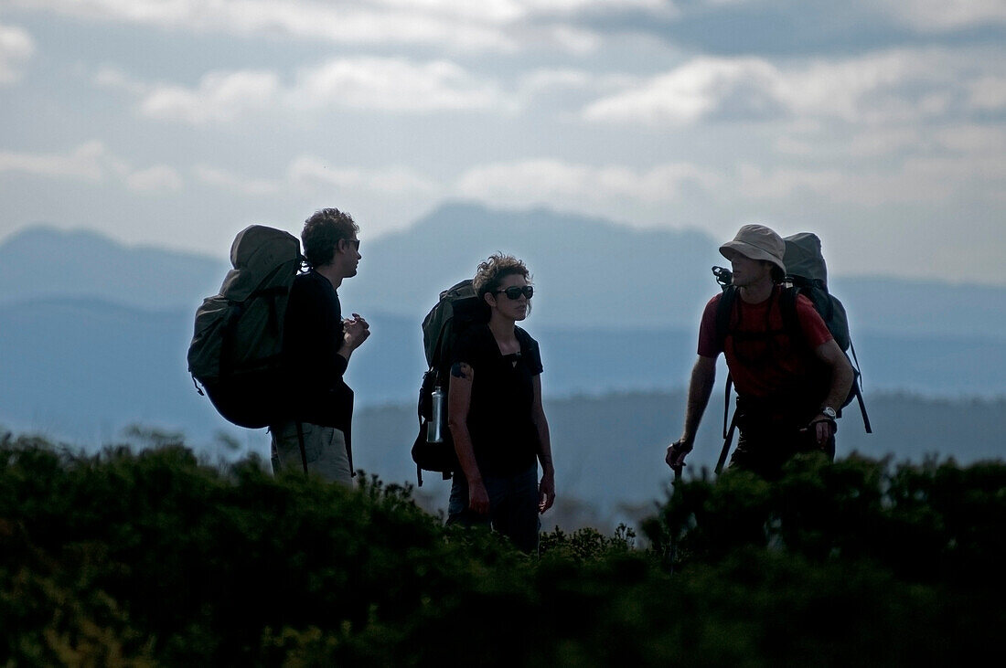 Three trekker on the way to Herods Gates, Walls of Jerusalem National Park, Tasmania, Australia, UNESCO World Nature Site, Tasmania, Australia