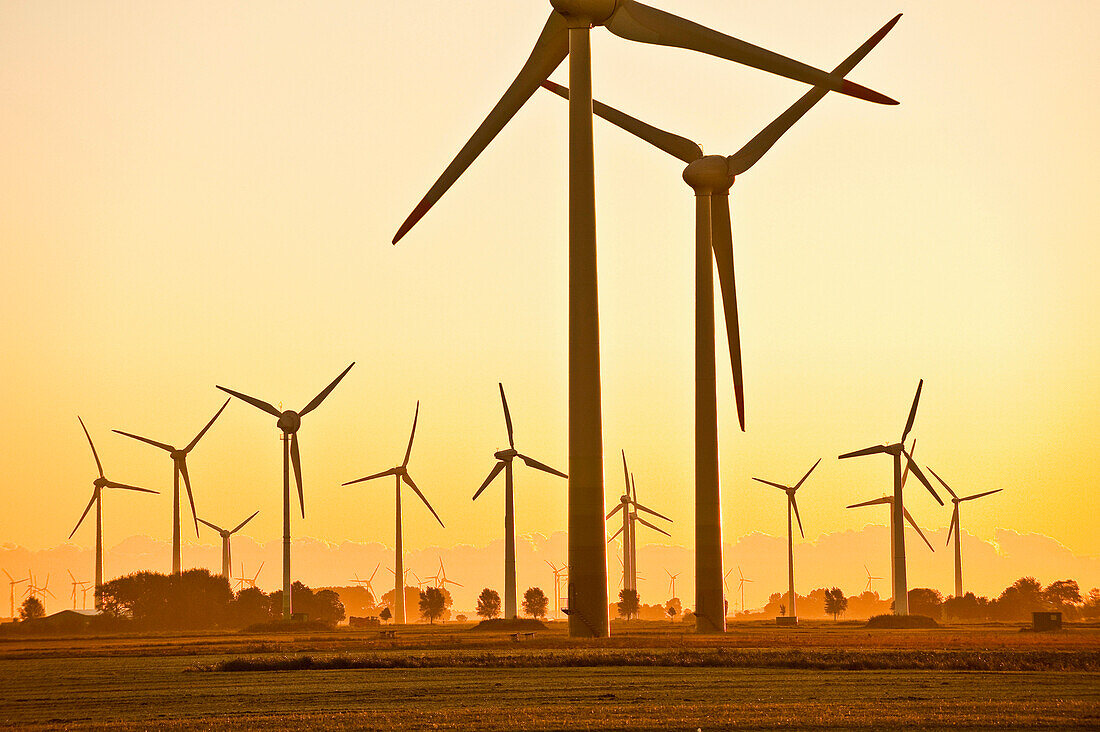 Wind wheels at a wind farm at sunset, Schleswig Holstein, Germany, Europe