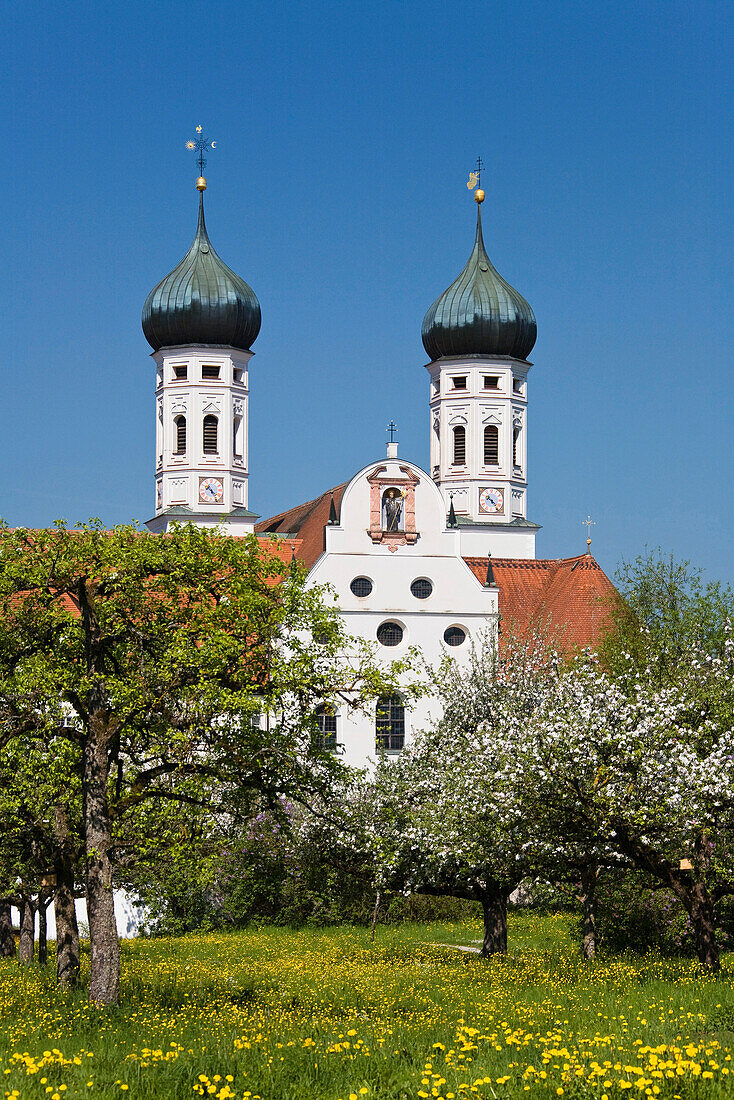 Kloster Benediktbeuern unter blauem Himmel, Oberbayern, Bayern, Deutschland, Europa