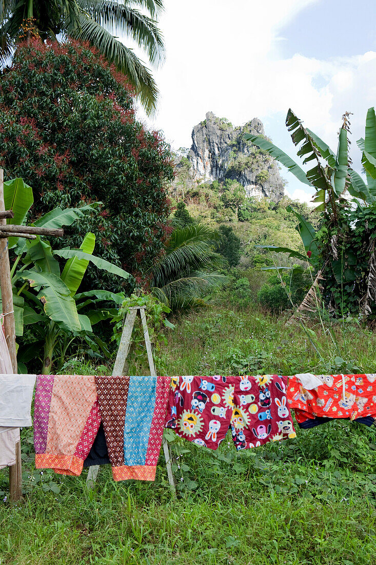 Wäscheleine vor einem Kalkfelsen, Khao Sok Nationalpark, Andamanensee, Thailand