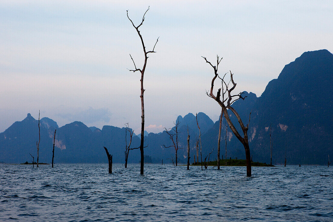 Dead tree trunks and limestone rocks in the evening on the Khao Sok National Park Reservoir Lake, Khao Sok National Park, Andaman Sea, Thailand