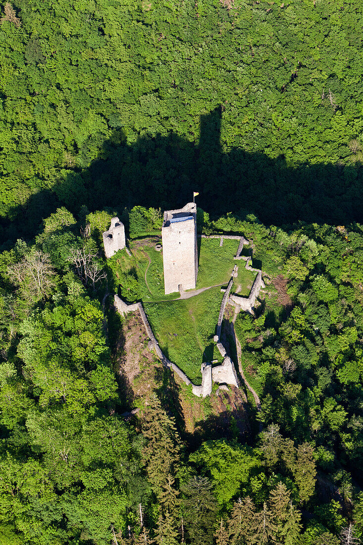 Aerial view of castle ruins of Oberburg Manderscheid, Lieser valley, Manderscheid, Eifel, Rhineland Palatinate, Germany, Europe