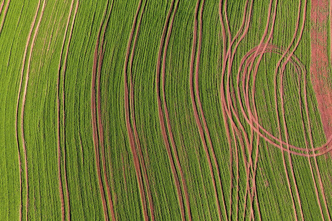 Aerial view of a mowed meadow, Eifel, Rhineland Palatinate, Germany, Europe