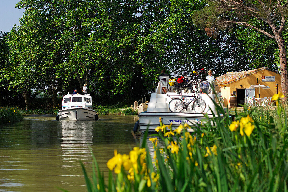 House boats on a canal, La Redorte, Canal du Midi, Midi, France