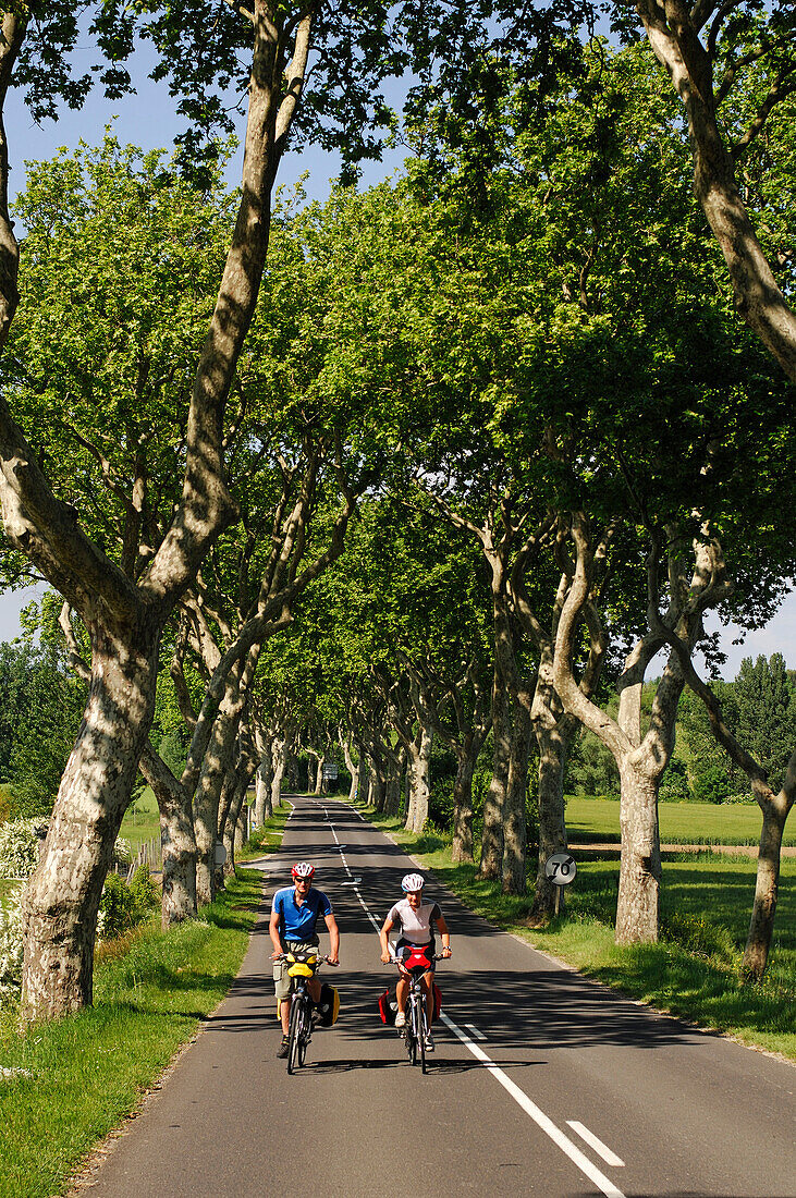 Zwei Radfahrer fahren eine Straße entlag, Canal du Midi, Midi, Frankreich, MR