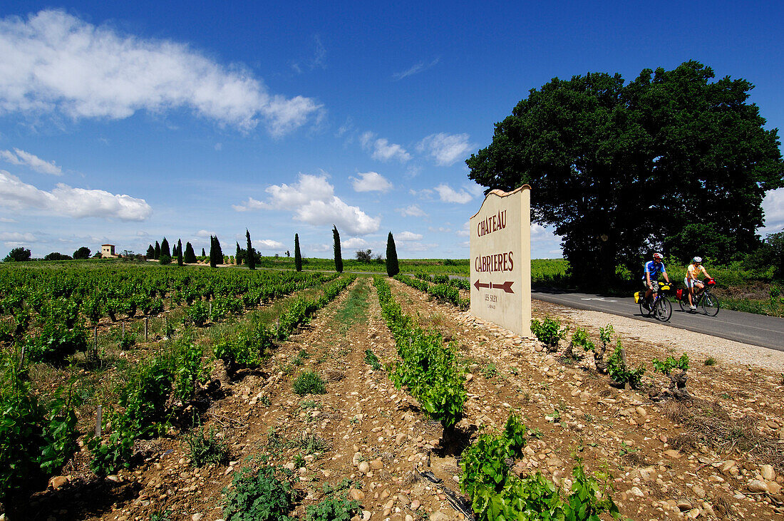 Weinberge bei Chauteauneuf du Pape, Provence, Frankreich
