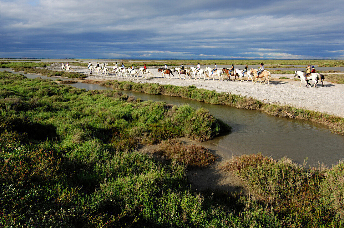 Reittour bei Saintes Maries de la Mer, La Camargue, Provence, Frankreich