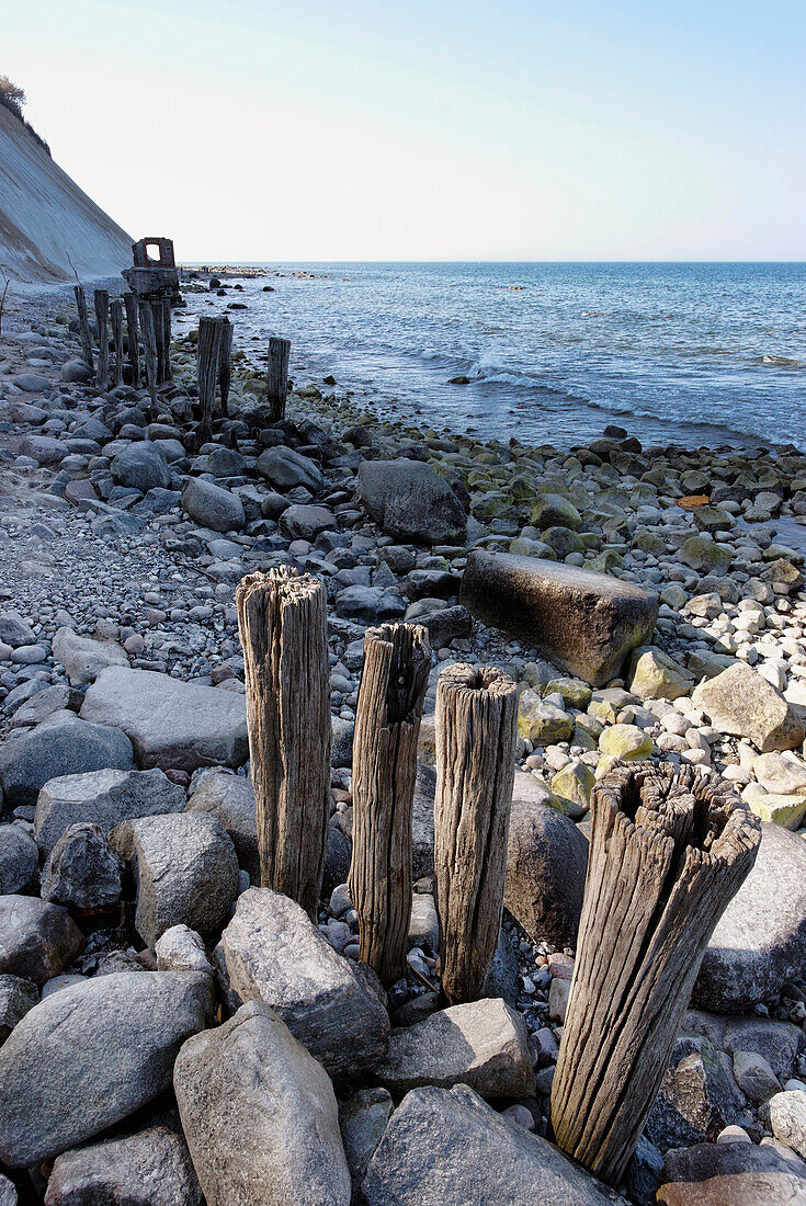 Chalk cliff, Cape Arkona, Island of Ruegen, Mecklenburg Western Pomerania, Germany