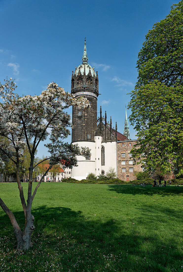 Schlosskirche, Lutherstadt Wittenberg, Sachsen-Anhalt, Deutschland