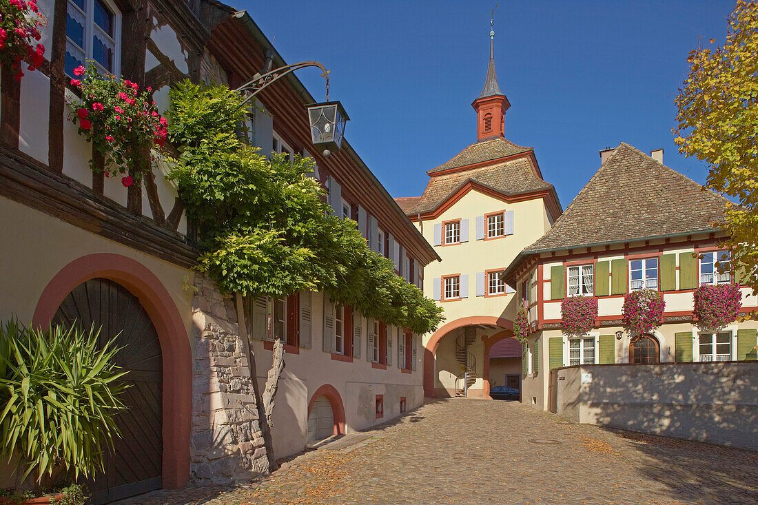 Burkheim, Historischer Ortskern mit Stadttor, Kaiserstuhl, Baden-Württemberg, Deutschland, Europa