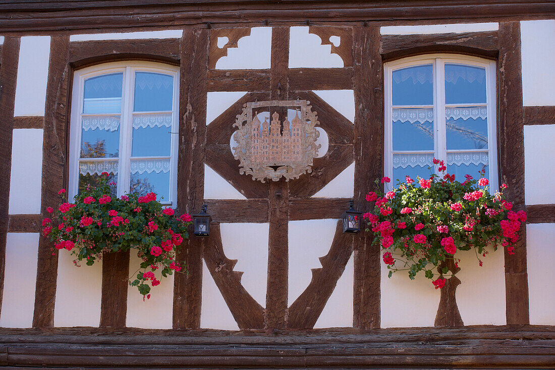 Burkheim, Historic city with half timbered houses, Kaiserstuhl, Baden Wuerttemberg, Germany, Europe