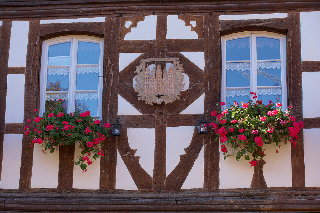 Burkheim, Historischer Ortskern mit Fachwerkhäusern, Kaiserstuhl, Baden-Württemberg, Deutschland, Europa