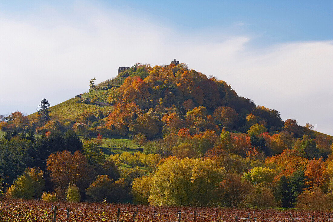 Burg von Staufen, Herbst, Markgräflerland, Südschwarzwald, Schwarzwald, Baden-Württemberg, Deutschland, Europa