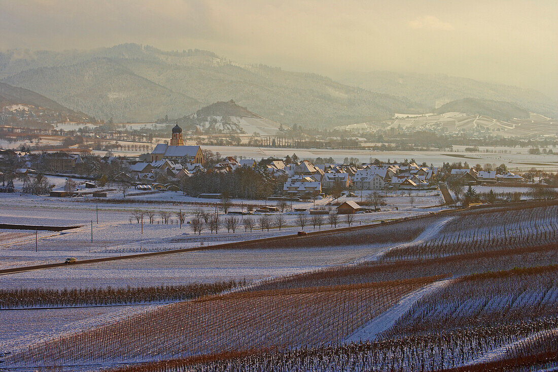 View from the Batzenberg over vineyards at Kirchhofen and Staufen castle, Winter, Snow, Breisgau, Markgraflerland, Southern part of the Black Forest, Black Forest, Baden Wuerttemberg, Germany, Europe