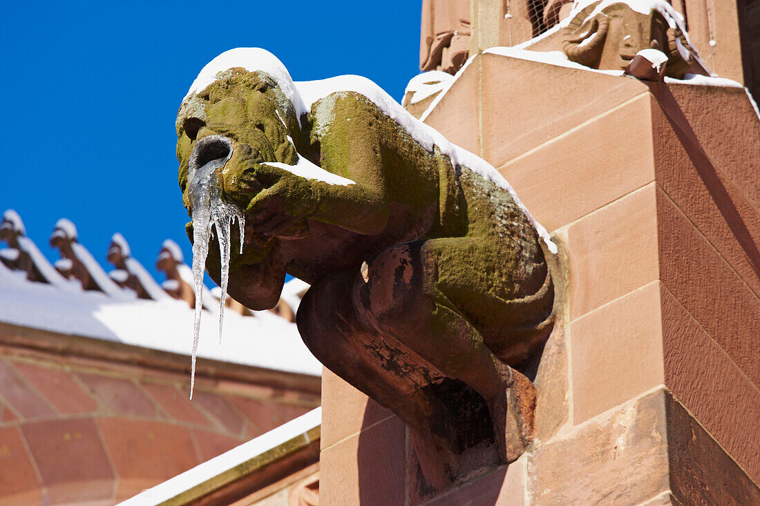 Munster cathedral with gargoyles and other sculptures, square Munsterplatz, Freiburg, Snow, Black Forest, Baden Wuerttemberg, Germany, Europe