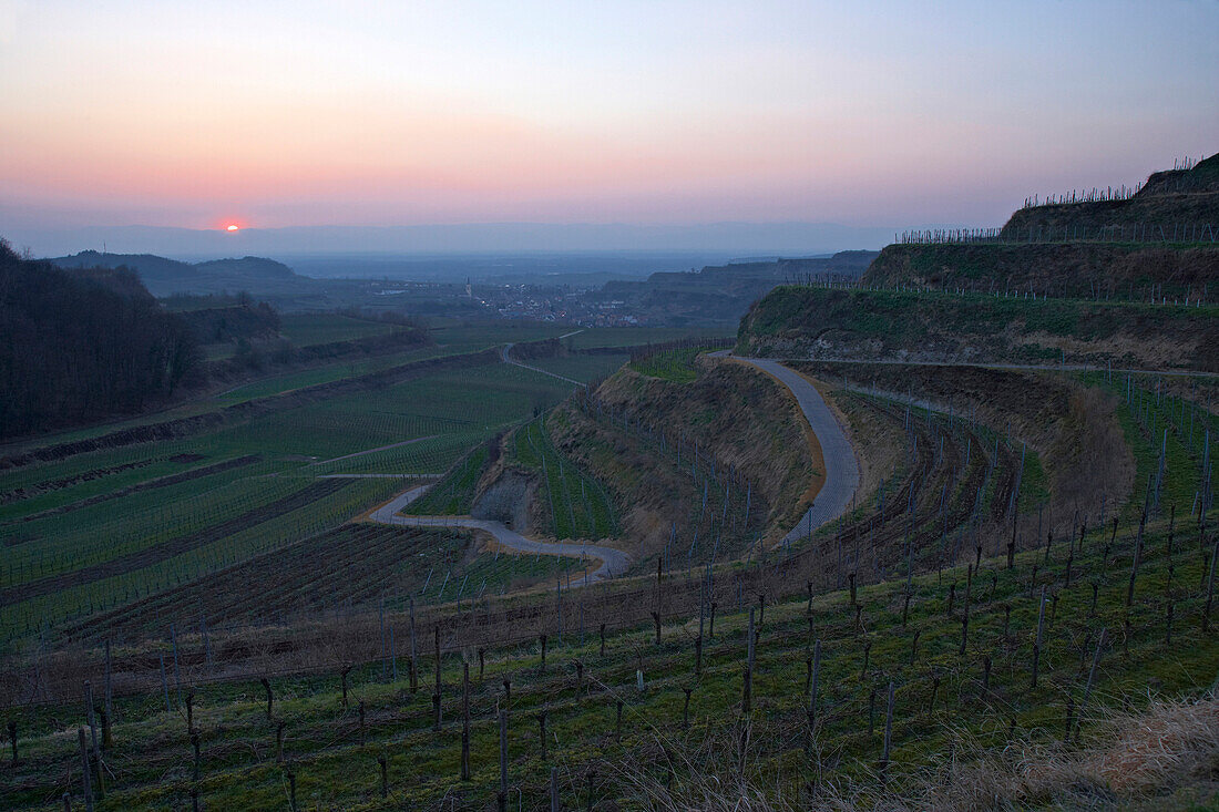 Blick über Weinberge auf Oberrotweil, Spätherbst, Kaiserstuhl, Baden-Württemberg, Deutschland, Europa