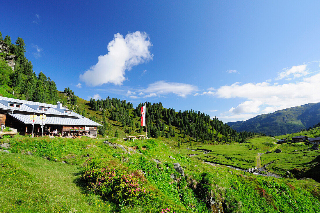 Neue Bamberger Hütte, Kelchsau, Kitzbüheler Alpen, Tirol, Österreich