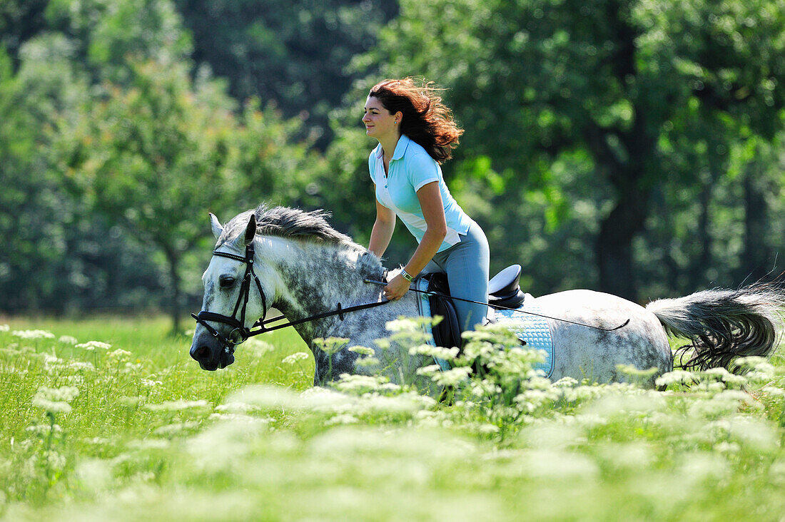 Woman riding a horse through a meadow, Inn Valley, Upper Bavaria, Bavaria, Germany