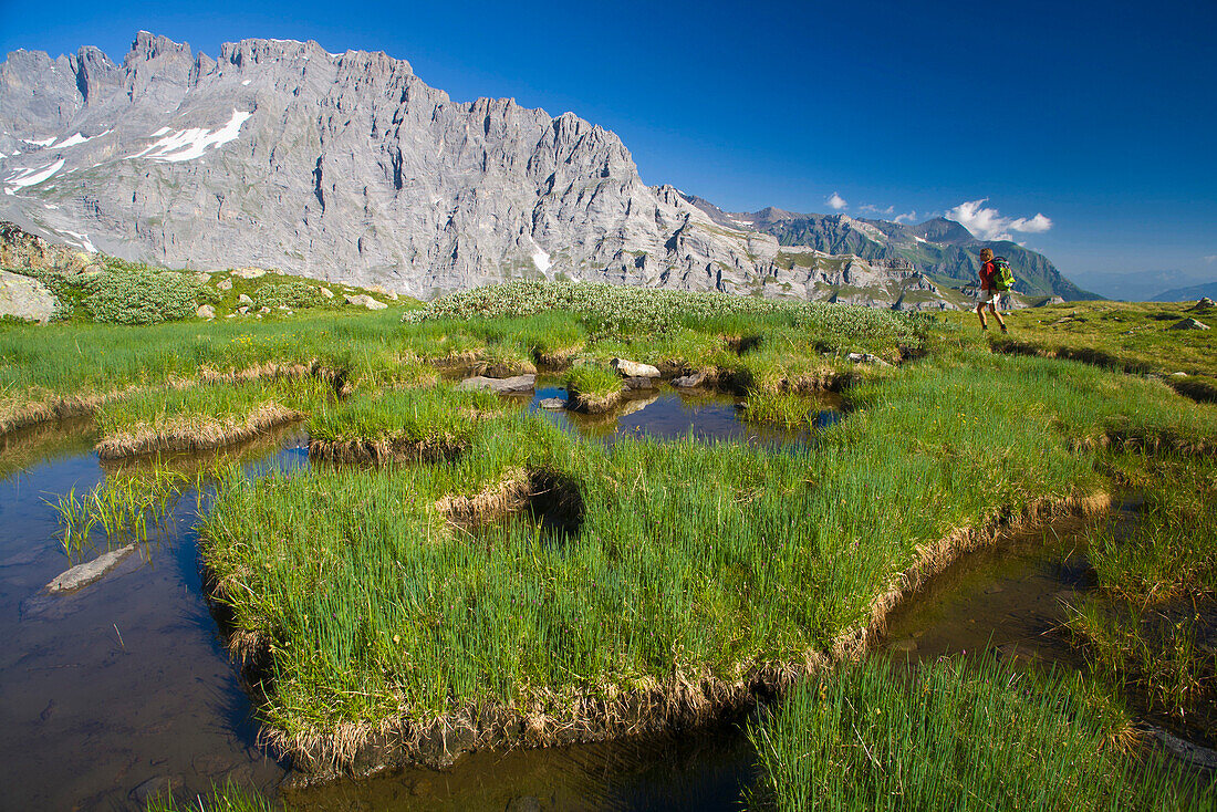 Female hiker crossing marsh biotop, Schmadri, Gspaltenhorn and Tschingelgrat in background, Lauterbrunnen Valley, Canton of Bern, Switzerland