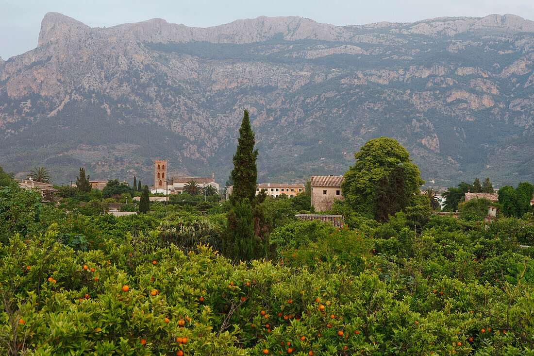 Soller, Stadt, Serra de Tramuntana, Tramuntana Gebirge, Mallorca, Balearen, Spanien, Europa