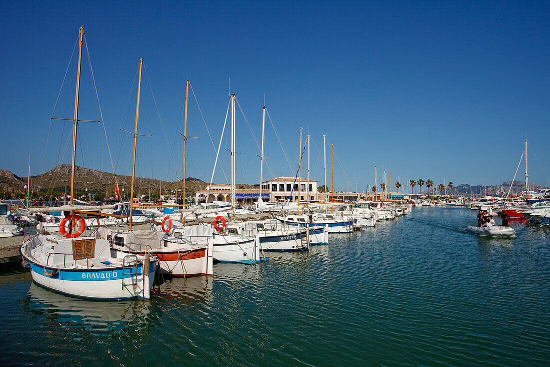 Harbour, port, Port de Pollenca, Pollenca,  Mallorca, Balearic Islands, Spain, Europe