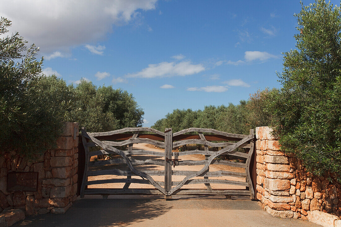 Gate, olive trees, near Cala Sa Nau, near Cala d Or, Mallorca, Balearic Islands, Spain, Europe