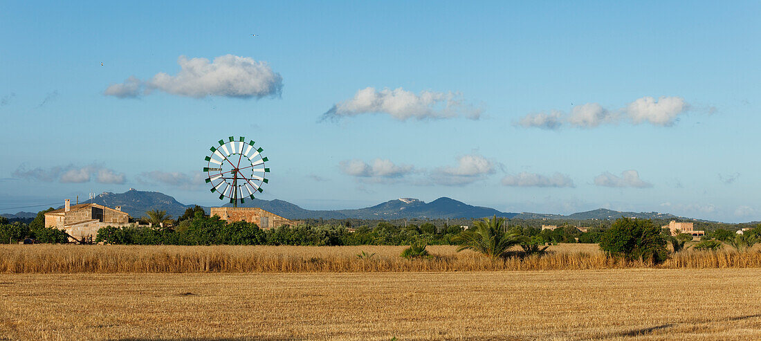 Wind wheel, cottage, near Campos, Mallorca, Balearic Islands, Spain, Europe