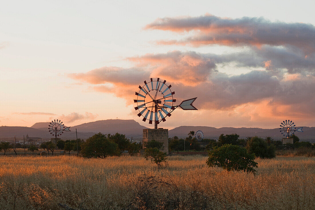 Windrad, Landhaus, bei Campos, Mallorca, Balearen, Spanien, Europa