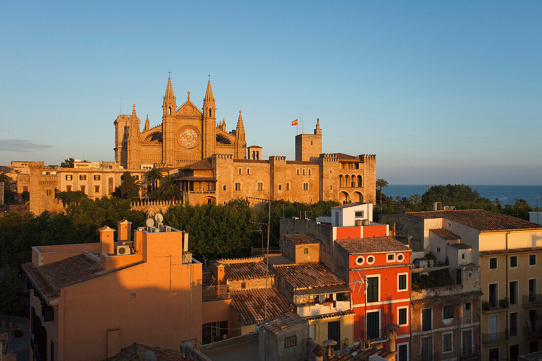 Kathedrale La Seu und Palau de l'Almudaina, Almudaina Palast in der Abendsonne, Palma de Mallorca, Mallorca, Balearen, Spanien, Europa