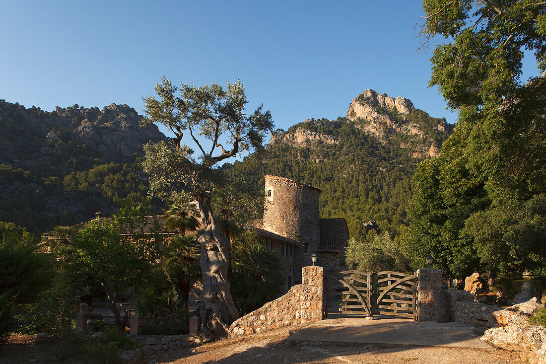 Blick auf die Finca Balitx d´Avall im Sonnenlicht, Tramuntana Gebirge, Mallorca, Balearen, Spanien, Europa