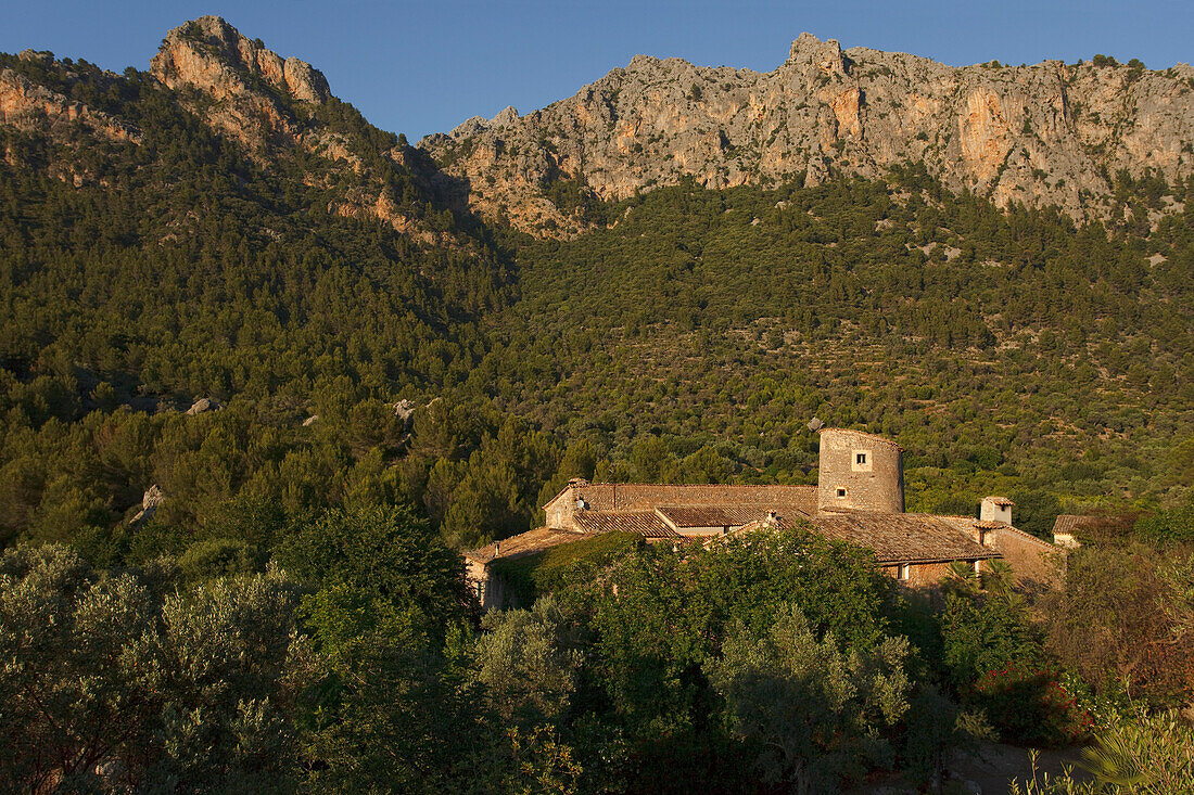 Blick auf die Finca Balitx d´Avall im Sonnenlicht, Tramuntana Gebirge, Mallorca, Balearen, Spanien, Europa