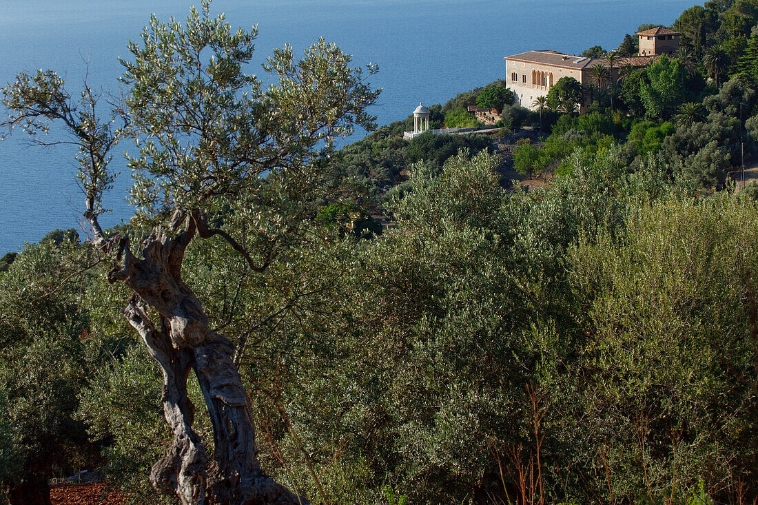 Landsitz Son Marroig an der Küste im Sonnenlicht, Tramuntana Gebirge, Mallorca, Balearen, Spanien, Europa