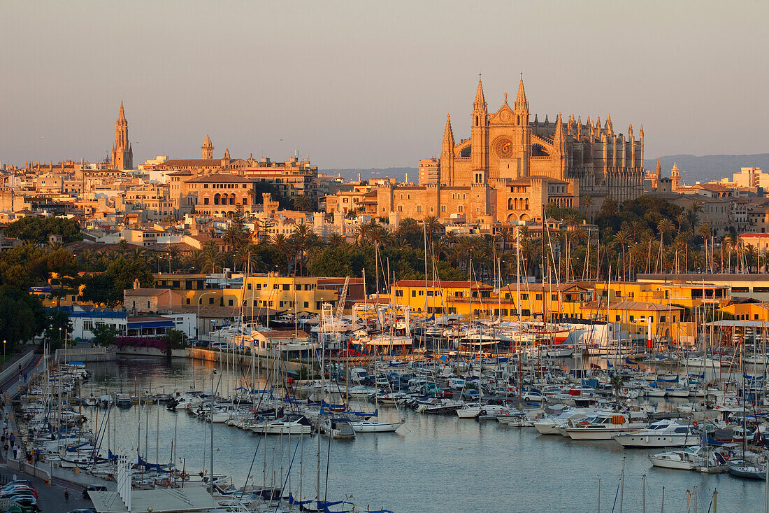 View of harbour, cathedral La Seu and palace Palau de l'Almudaina in the light of the evening sun, Palma de Mallorca, Mallorca, Balearic Islands, Spain, Europe