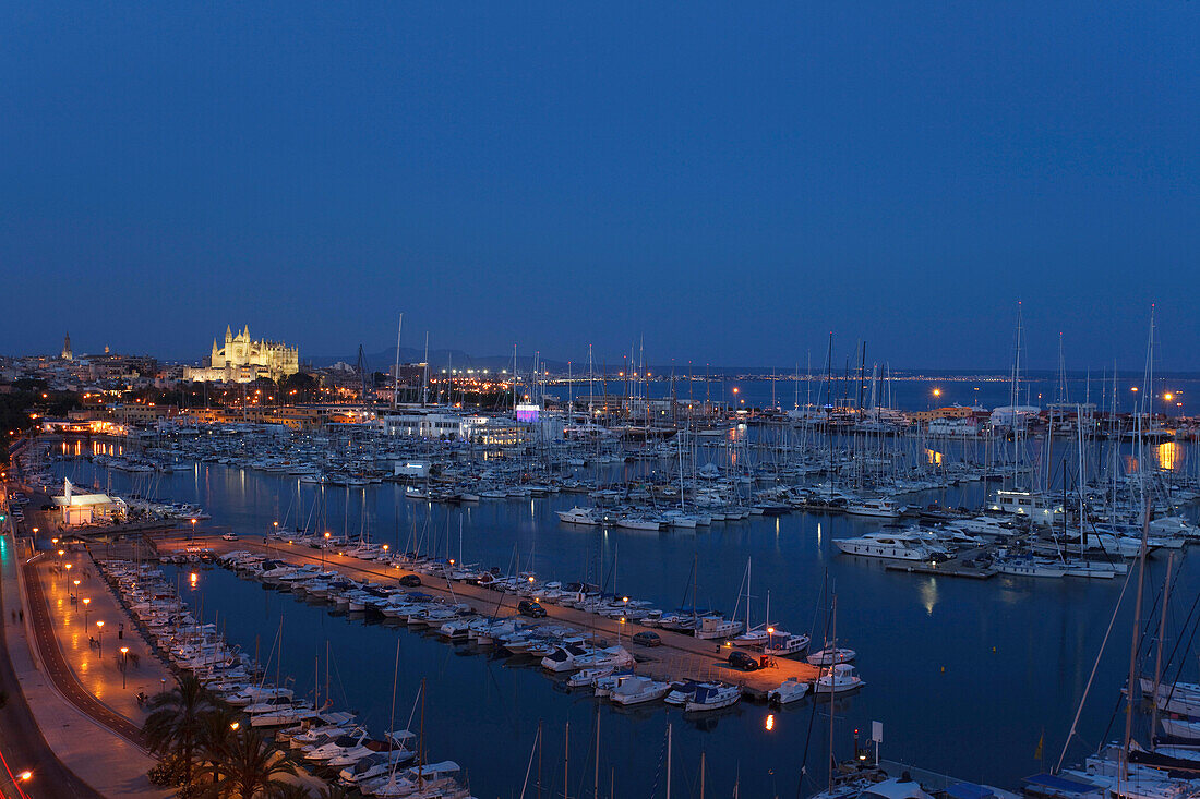 View of harbour, cathedral La Seu and palace Palau de l'Almudaina, Palma de Mallorca, Mallorca, Balearic Islands, Spain, Europe