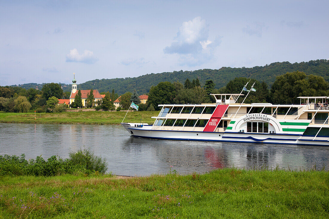 Paddle wheel steamer at the Elbe river near Dresden, district Hosterwitz, church Maria am Wasser, Saxonia, Germany, Europe
