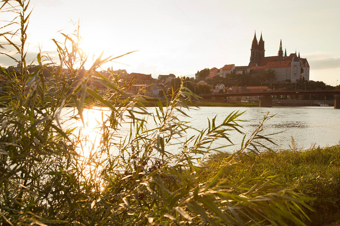 View over the Elbe river to Albrechts castle and cathedral in the evening light, Meissen, Saxonia, Germany, Europe