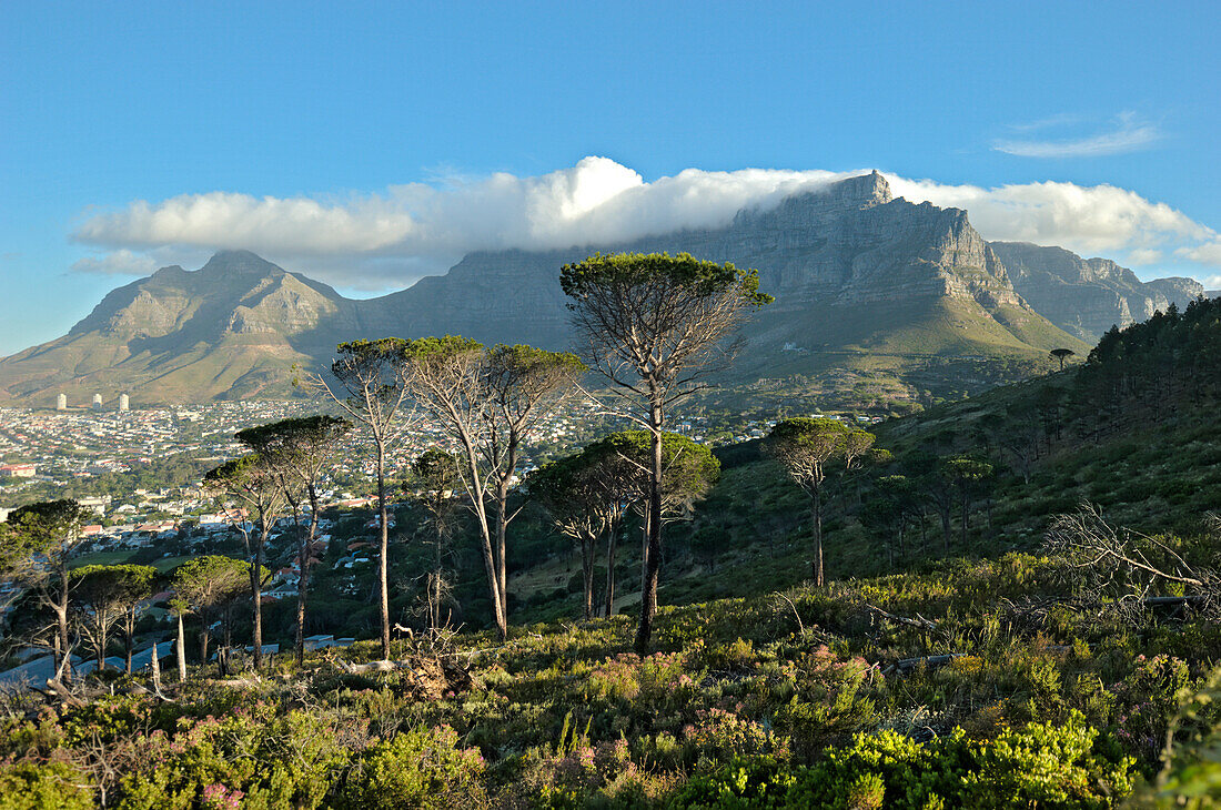 Der Tafelberg bei Südwestwind, Kapstadt, Südafrika, Afrika