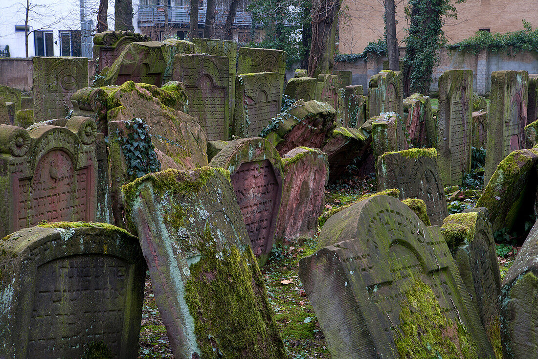 Jewish cemetery Battonnstraße, it is the oldest jewish cemetery in Frankfurt, Frankfurt am Main, Hesse, Germany, Europe