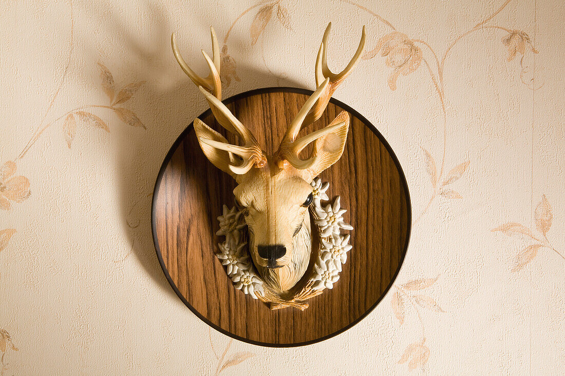 Plastic deer head mounted on wall