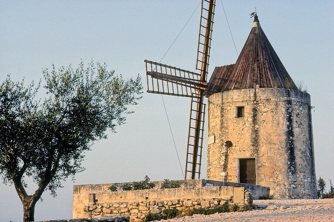 France, Alpes Provence cote d'Azur, Provence, Bouches du Rhône, Fontvieille, Alphonse Daudet mill