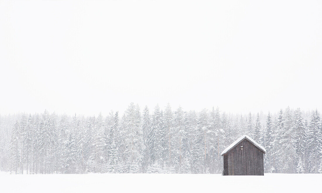 Barn in Winter