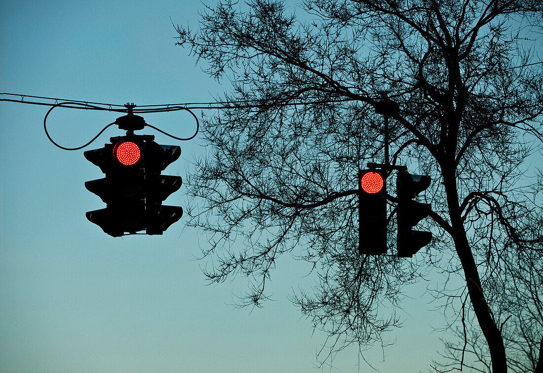 Two Red Traffic Lights Against Tree Silhouette