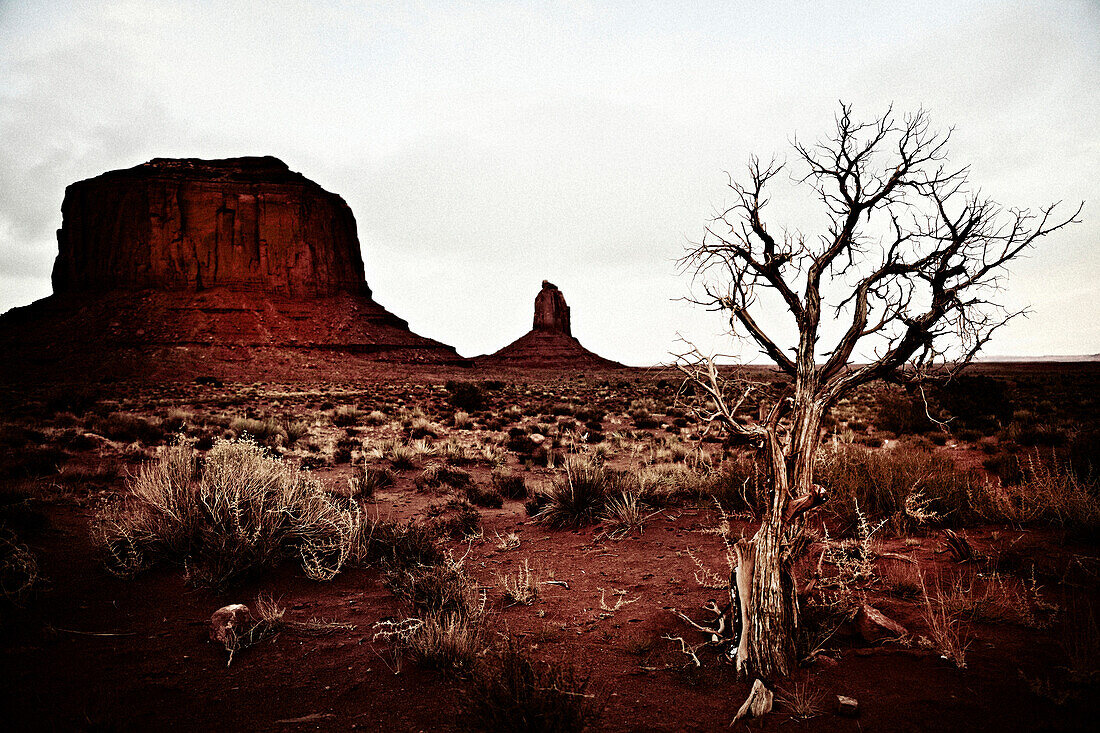 Monument Valley National Park, Utah, USA