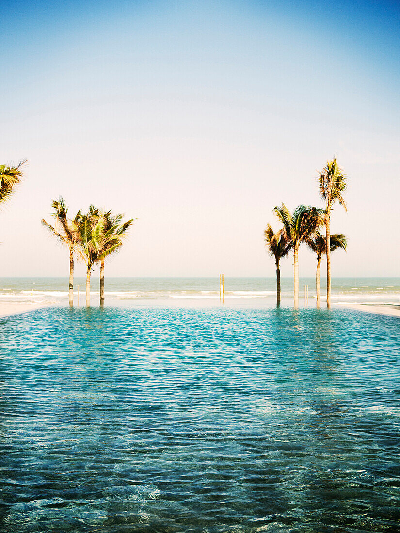 Swimming Pool and Palm Trees at Edge of Beach