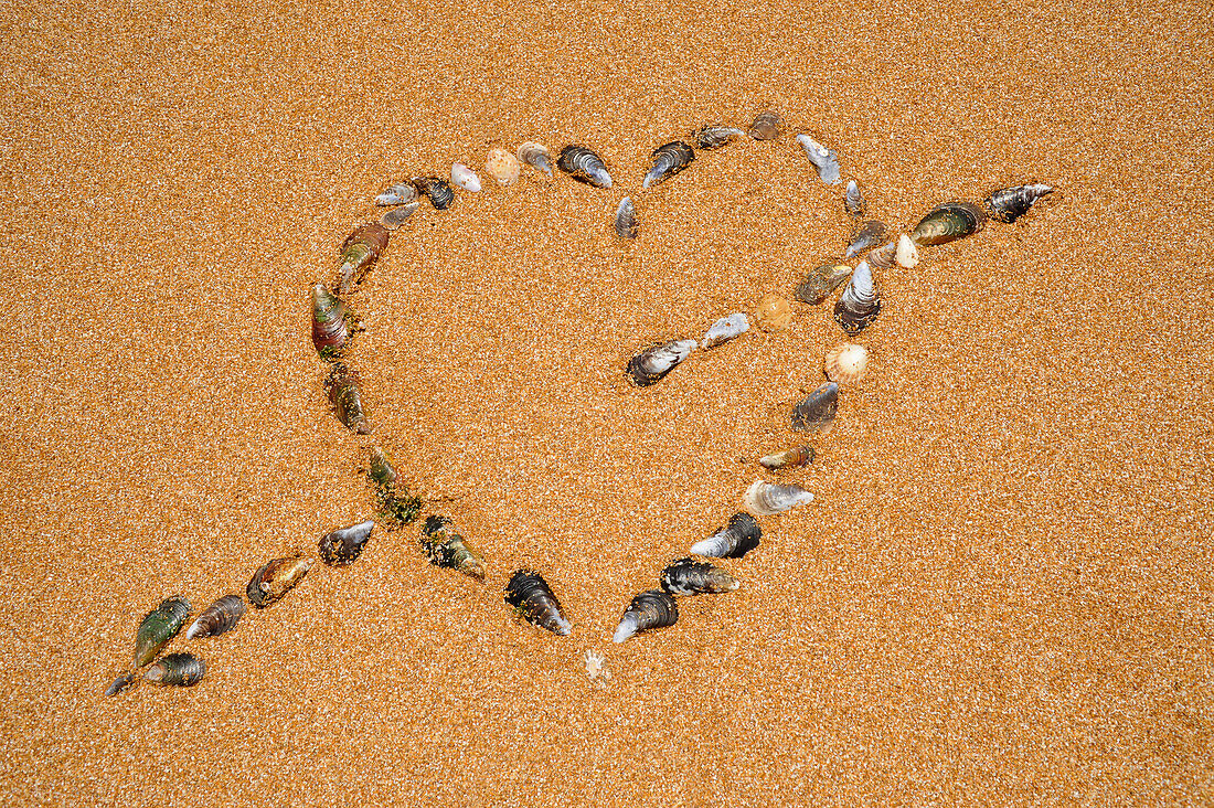 Heart made of seashells, Atlantic Coast, Morocco, Africa