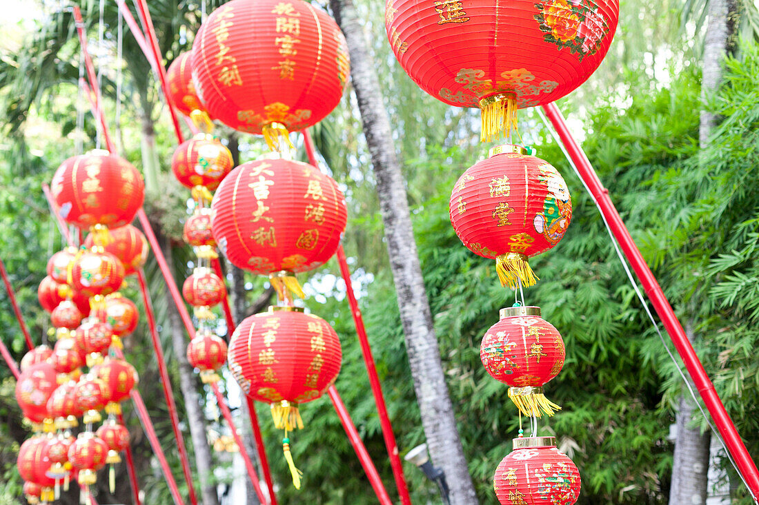 Chinesische rote Lampions vor Bambuspflanzen, Phuket, Thailand, Asien