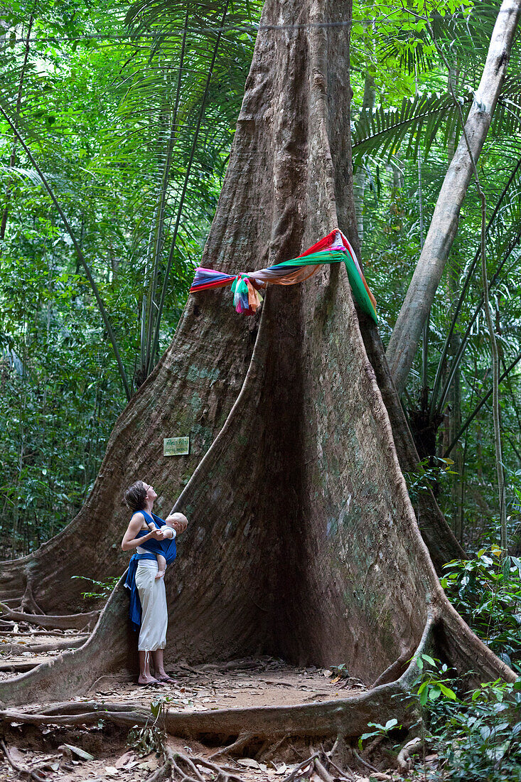 German woman with her baby in front of a huge banyan tree, Krabi, Thailand, Asia